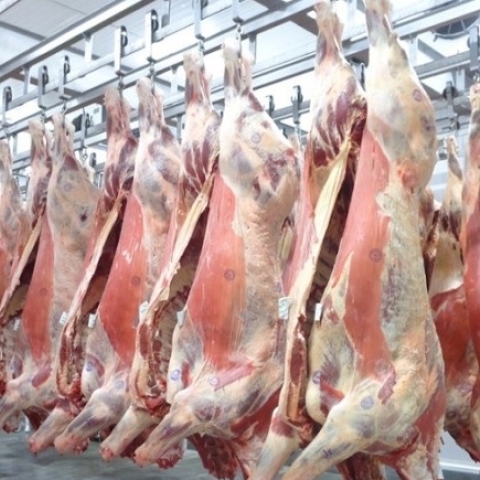 Frigoríficos e Distribuidoras de Carne