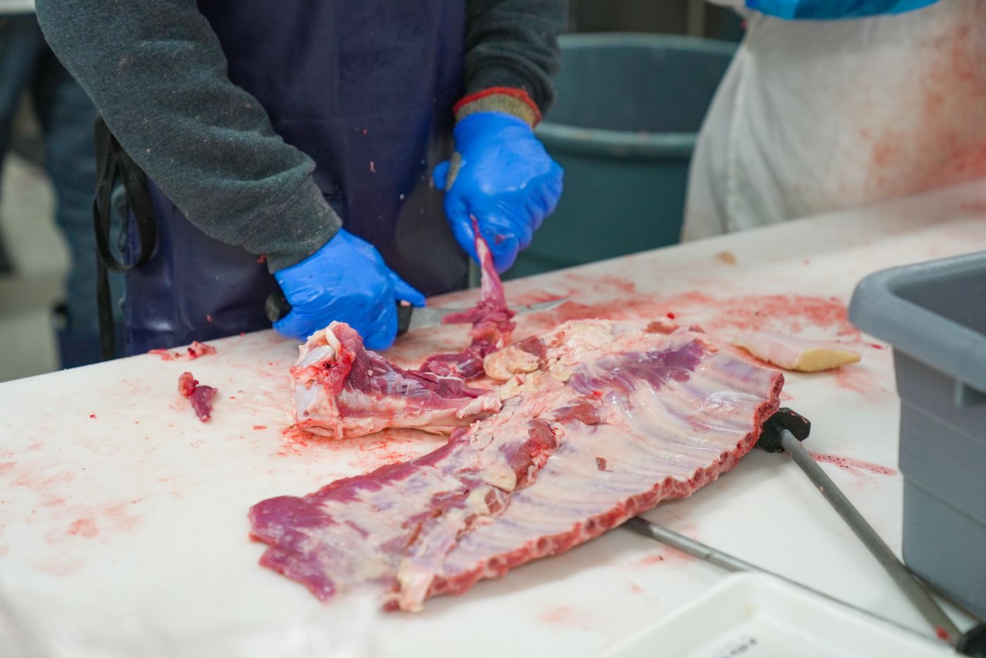 Açougueiro de luvas desossa uma peça de carne sobre bancada branca