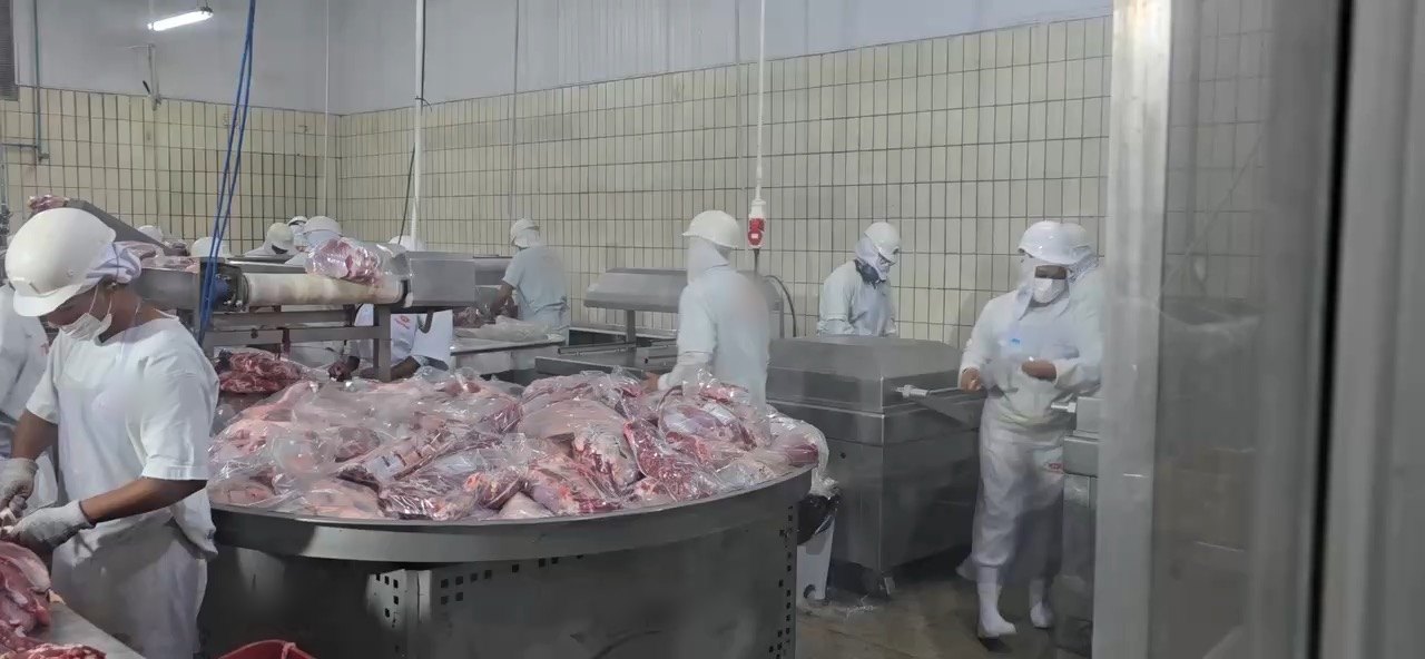 Sala de desossa de frigorífico com equipe uniformizada e cortes embalados na mesa de produção