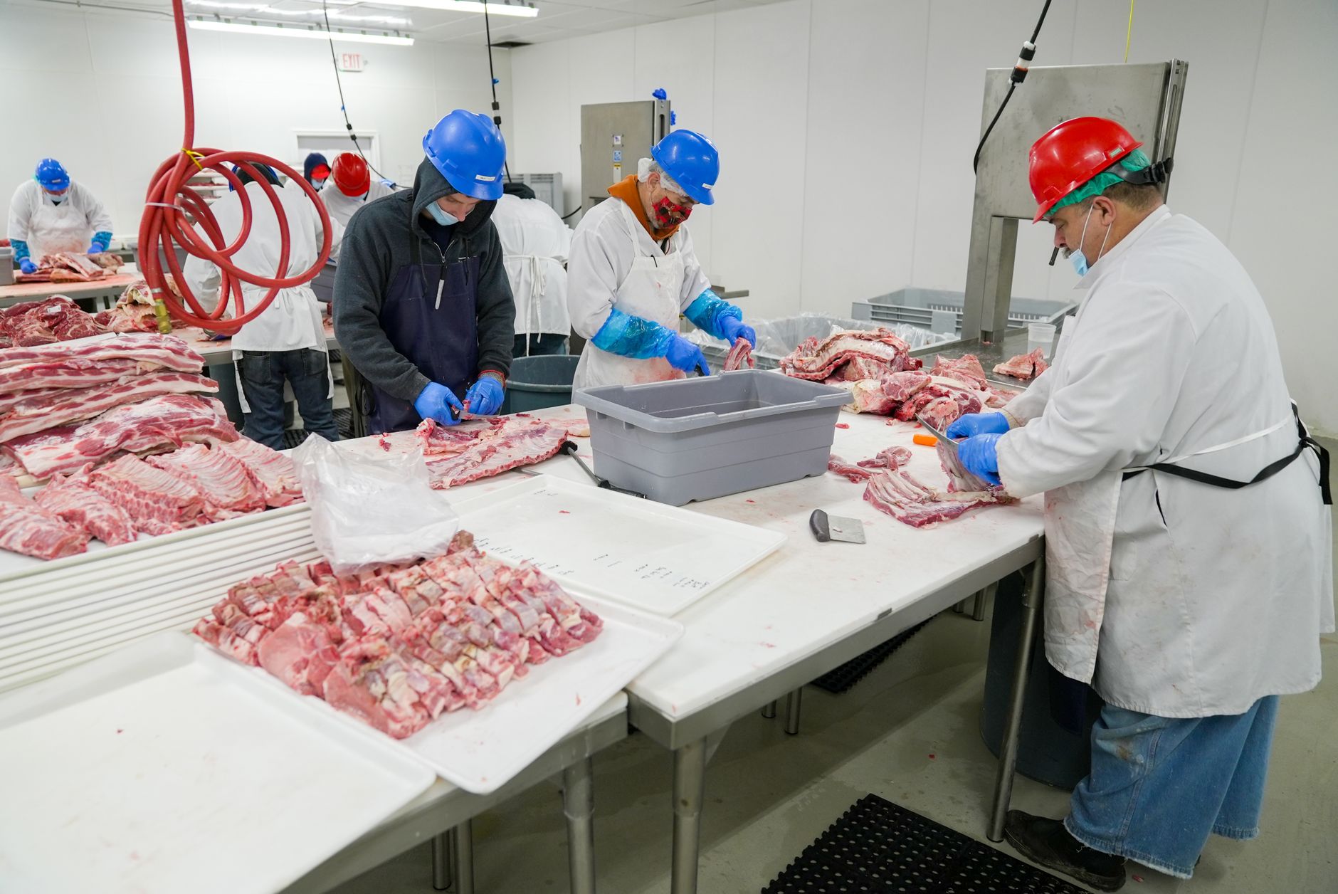 Equipe de frigorífico com uniforme e EPI trabalhando cortes de carne em bancadas de inox na área de produção