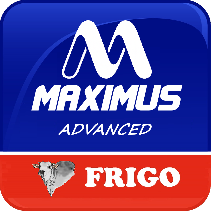 Maximus Frigo